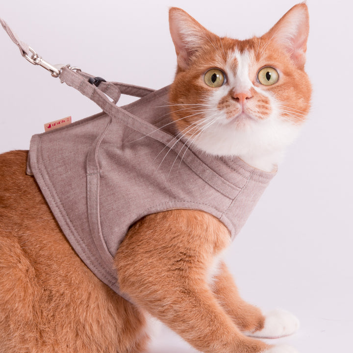 【訳あり】猫に優しいベスト型ハーネス・リード付き