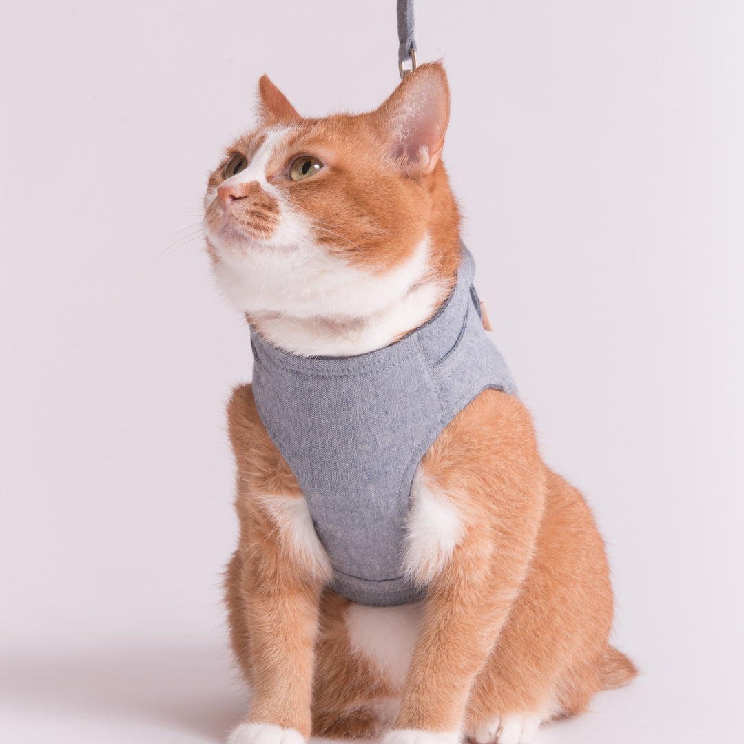 【訳あり】猫に優しいベスト型ハーネス・リード付き