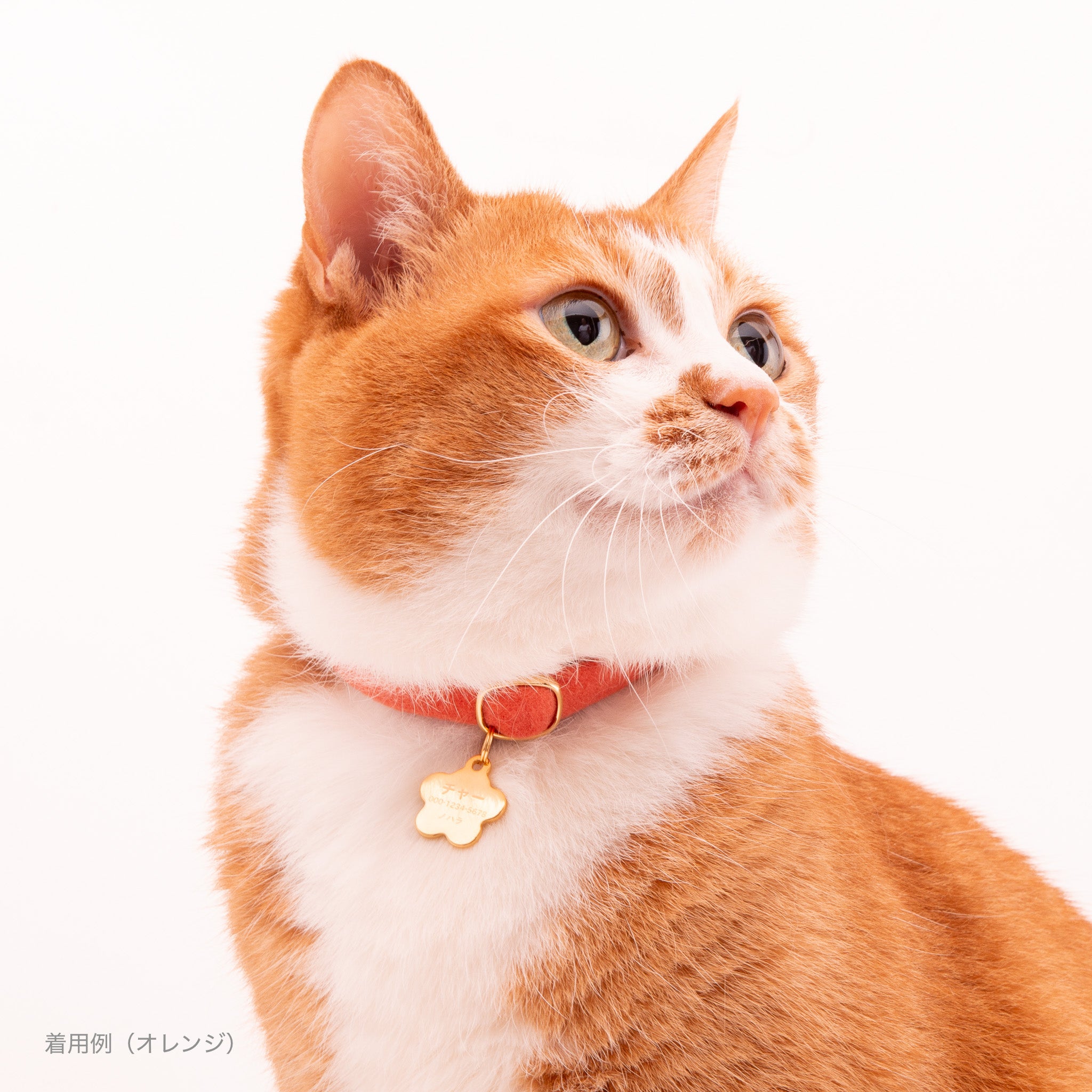 ウルトラストレッチ猫首輪 無地 オフホワイト｜ぽぽねこ公式オンライン
