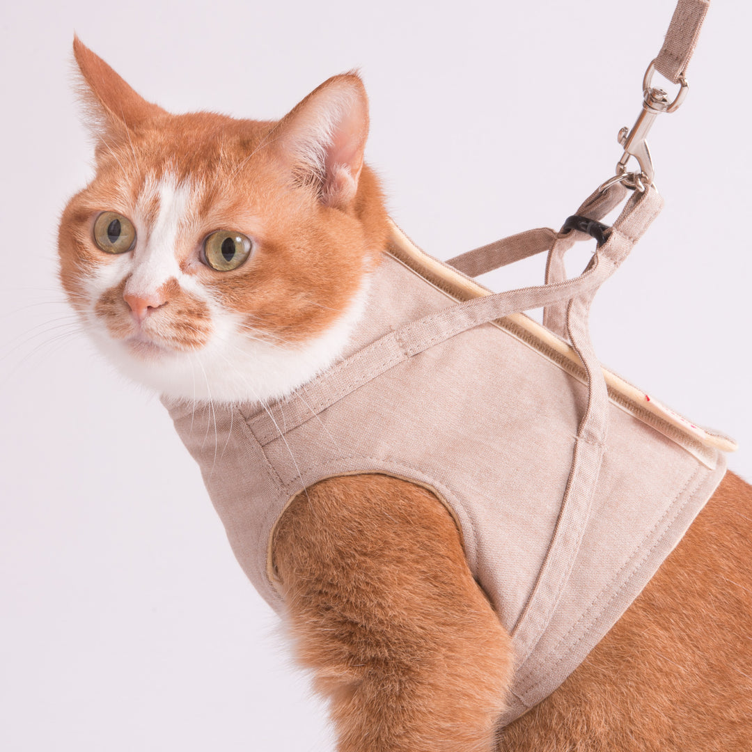【訳あり】猫に優しいベスト型ハーネス・リード付き