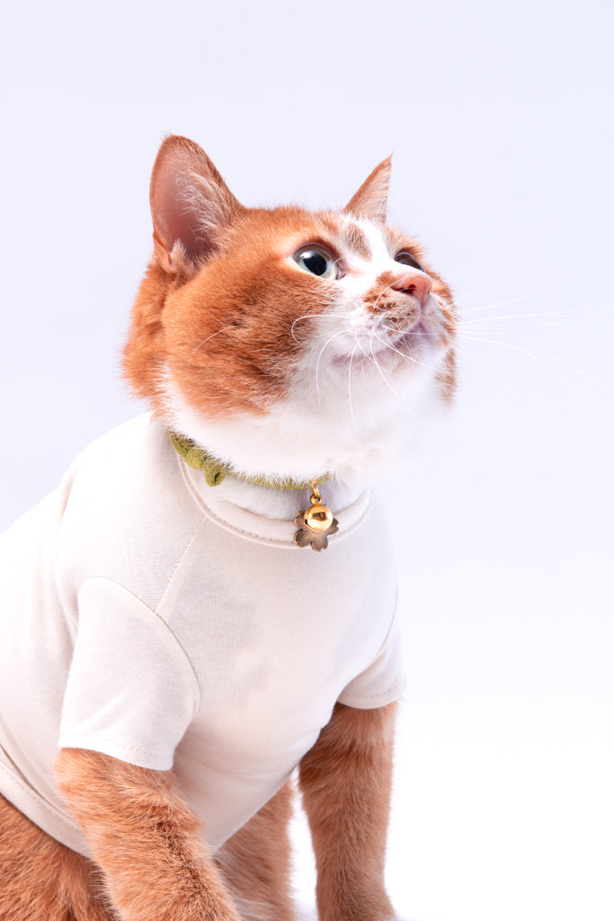 丸紐猫首輪