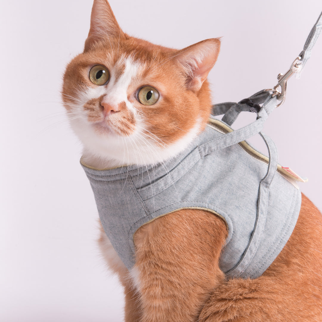 【訳あり】猫に優しいベスト型ハーネス・リード付き