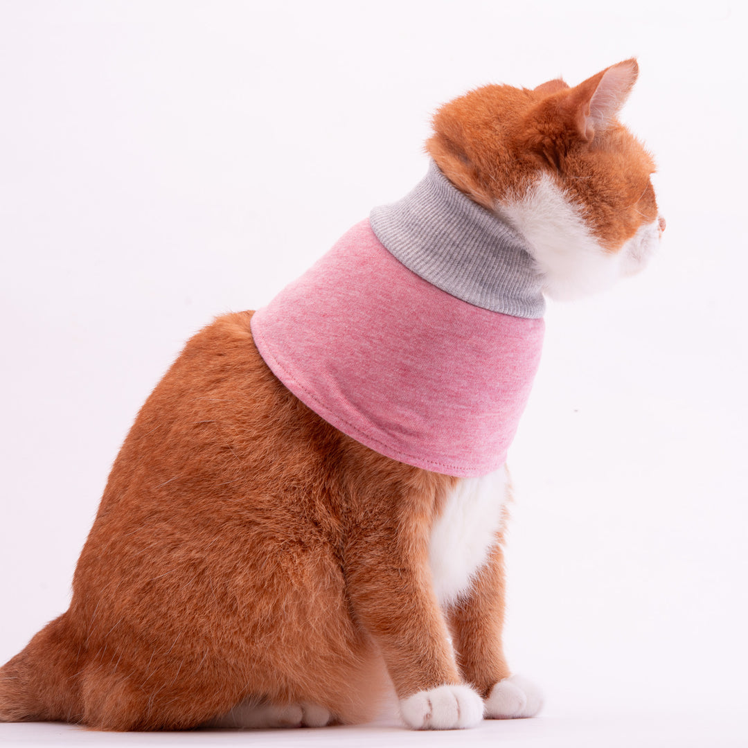 猫用皮膚保護ネックガード