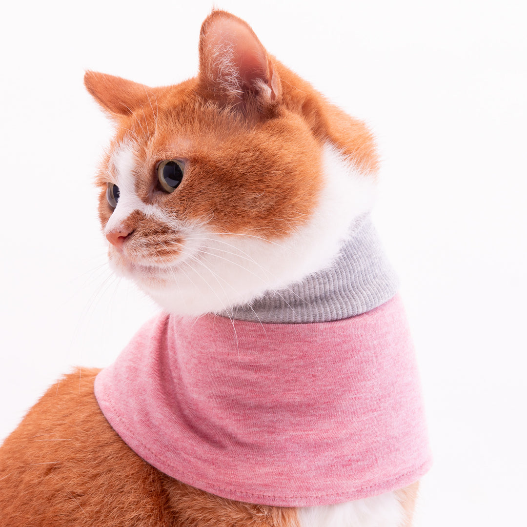 猫用皮膚保護ネックガード