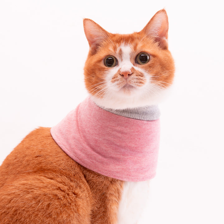 猫用皮膚保護ネックガード