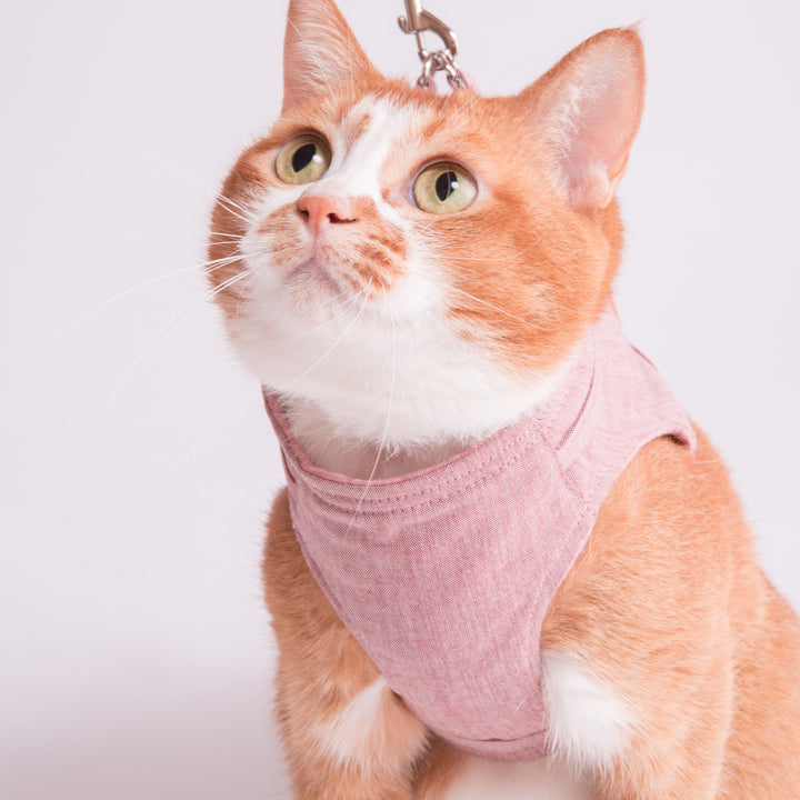 【訳あり】猫に優しいベスト型ハーネス・リード付き