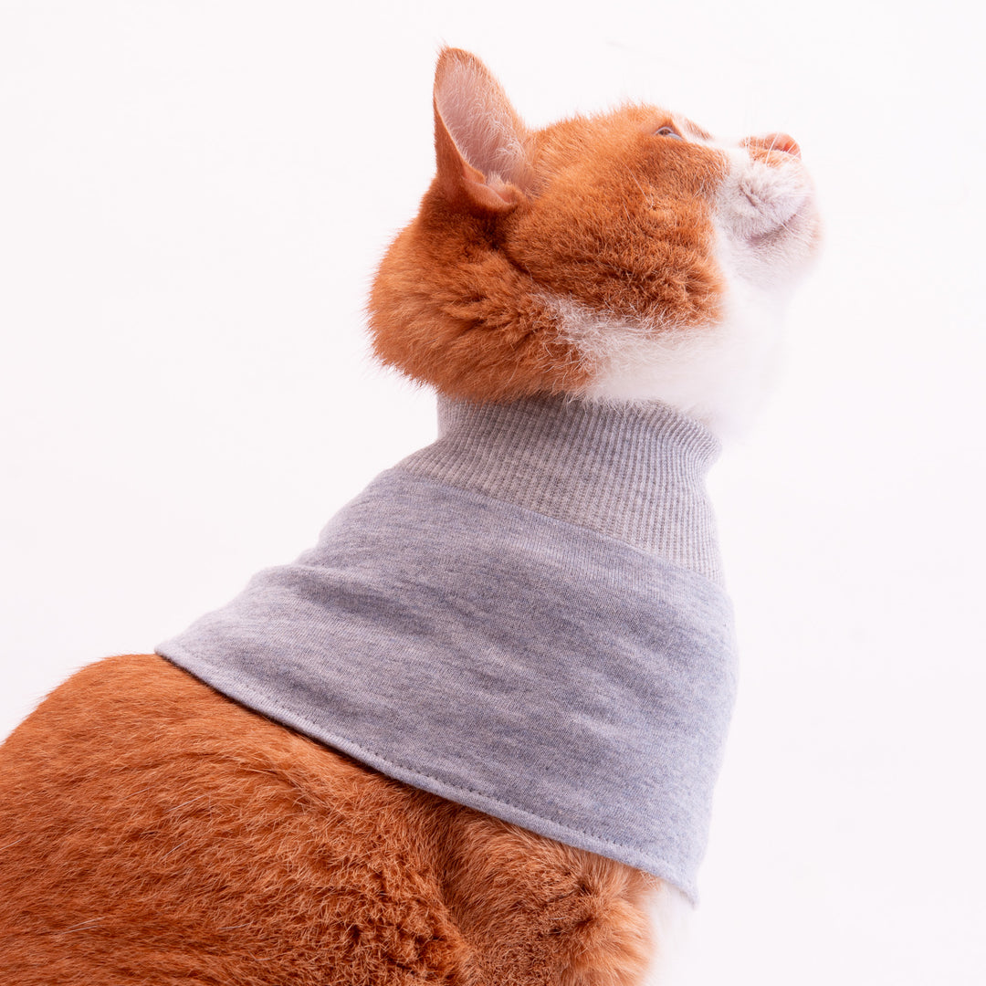 猫用皮膚保護ネックガード