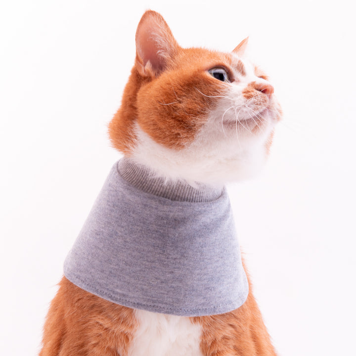 猫用皮膚保護ネックガード