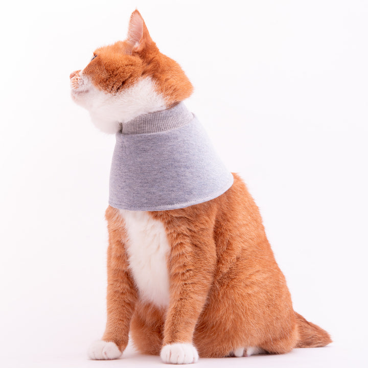 猫用皮膚保護ネックガード