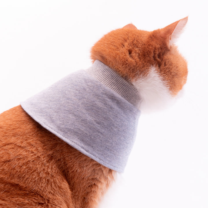 猫用皮膚保護ネックガード