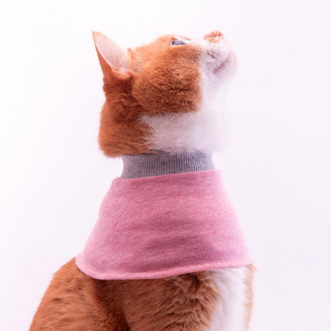 猫用皮膚保護ネックガード