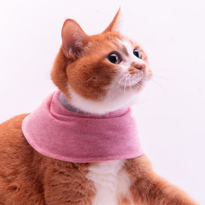 猫用皮膚保護ネックガード