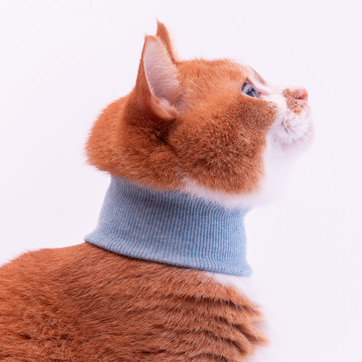 猫用皮膚保護ネックガード