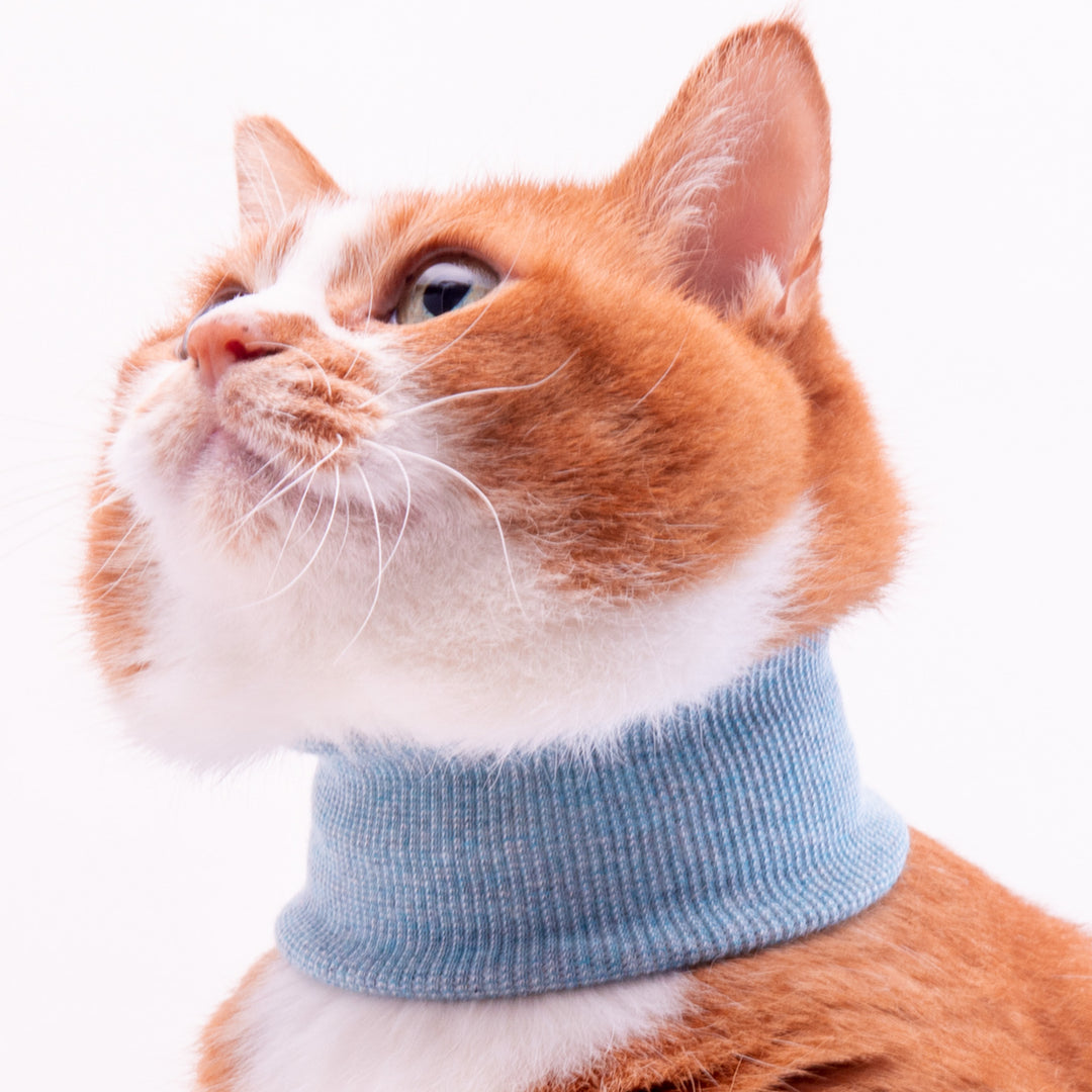 猫用皮膚保護ネックガード