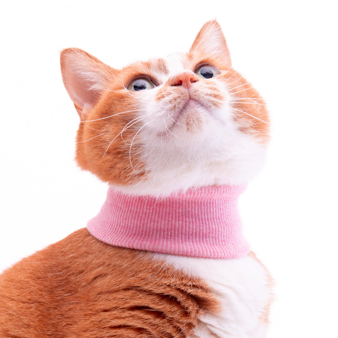 猫用皮膚保護ネックガード