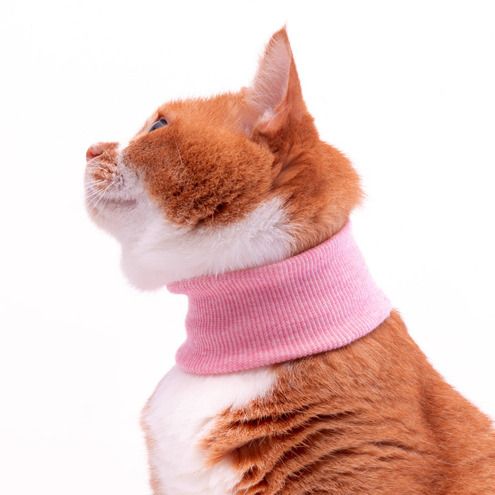 猫用皮膚保護ネックガード