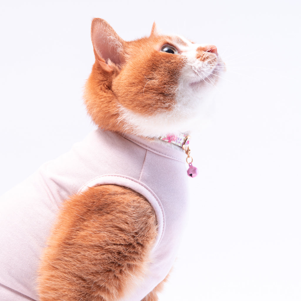 猫に優しい猫服