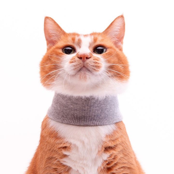 猫用皮膚保護ネックガード