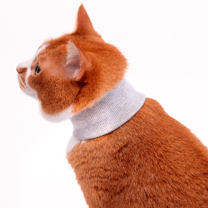猫用皮膚保護ネックガード