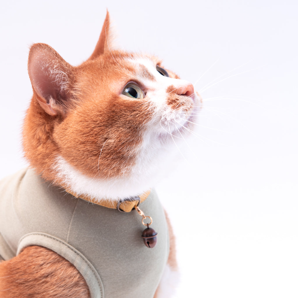 ぽぽねこパワーストーン ぽぽねこストーリー - Our Story｜ぽぽねこ公式オンラインショップ