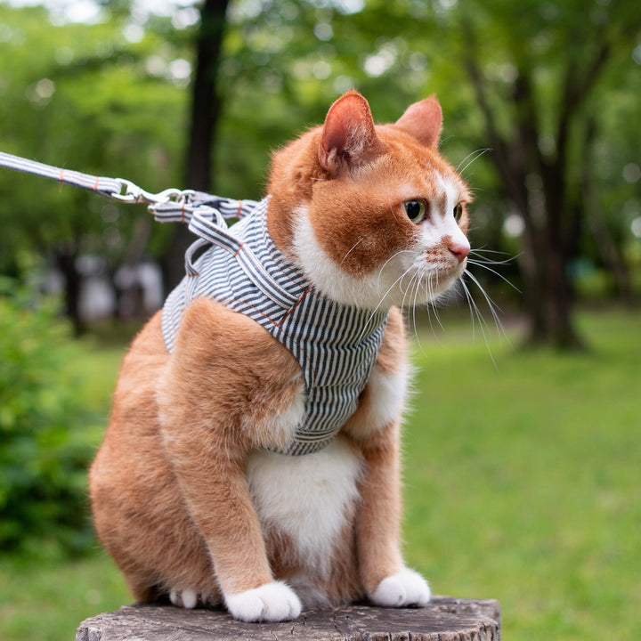 【訳あり10%off】猫に優しいベスト型ハーネス・リード付き　デニム　ヒッコリー【限定モデル】