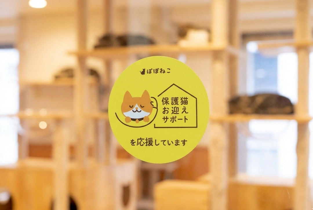 保護猫お迎えサポートプログラムを応援してますステッカー
