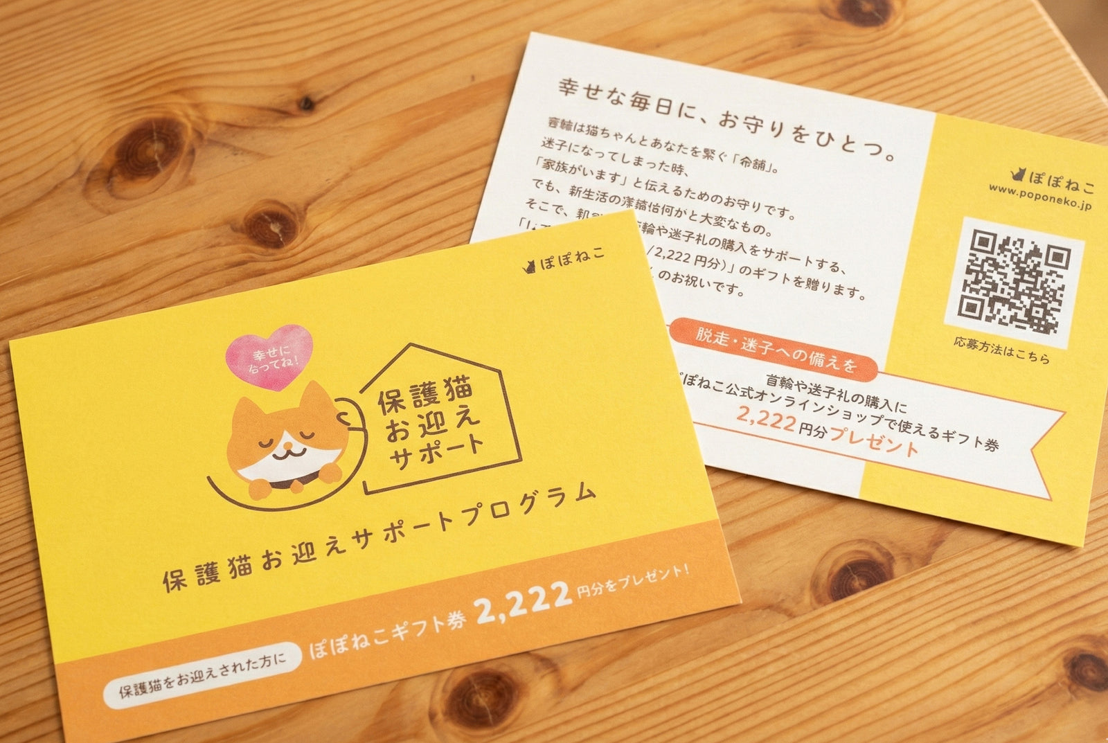 プログラム啓蒙フライヤー