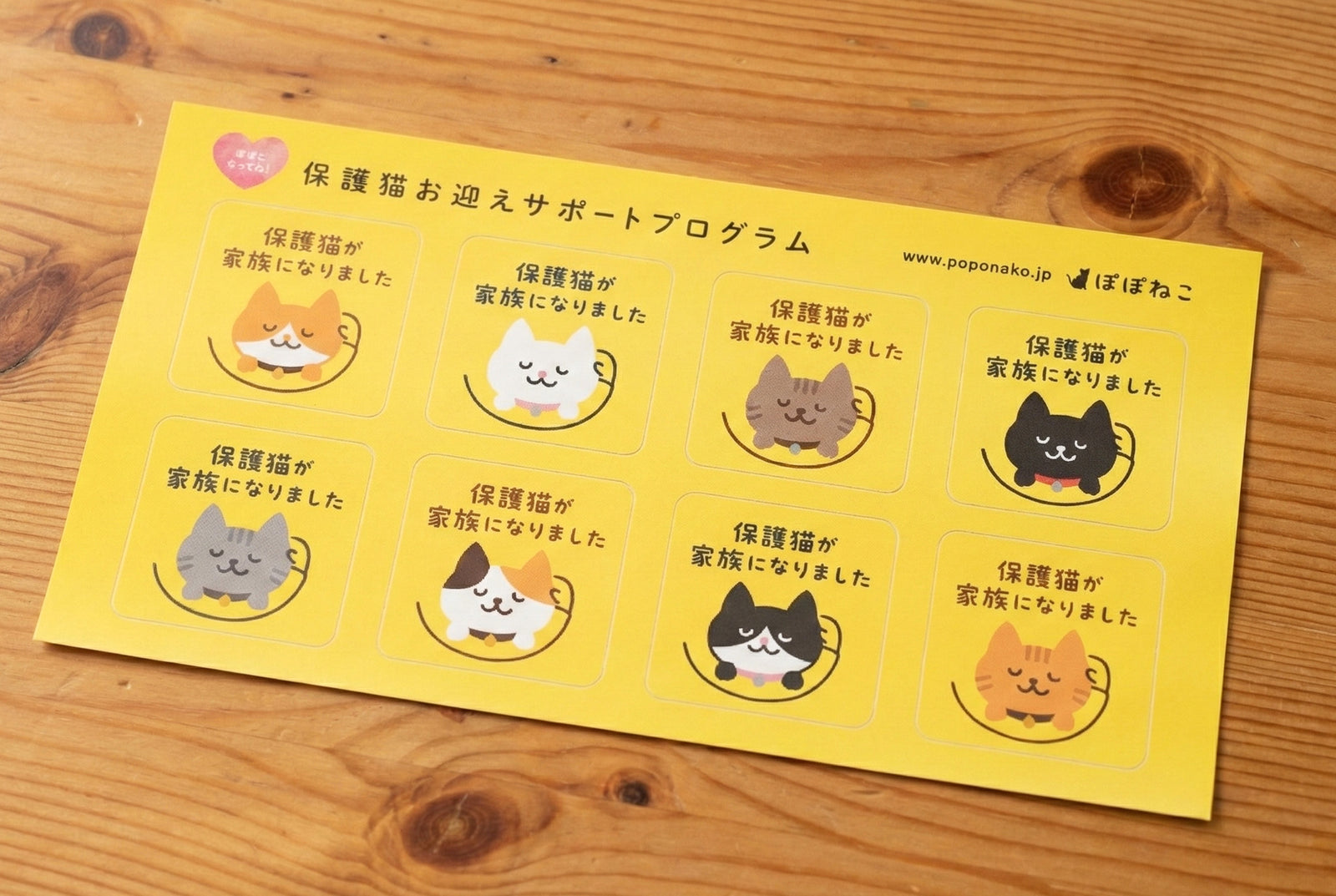 保護猫が家族になりましたシール