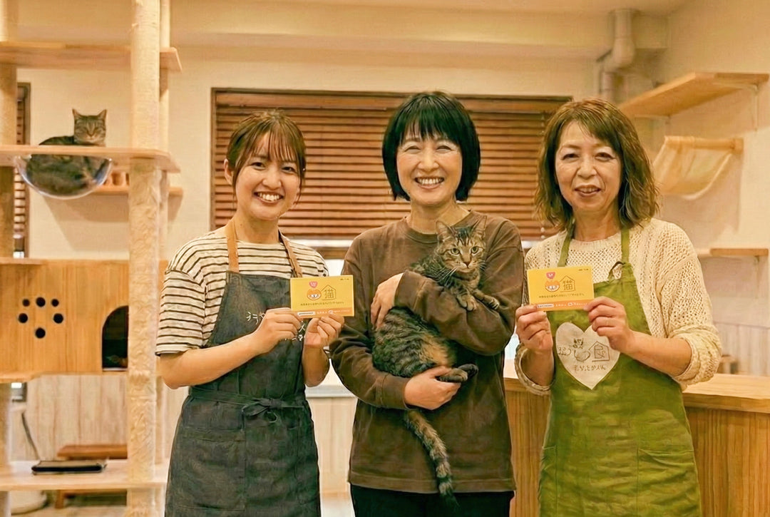 保護猫カフェのスタッフと里親さん