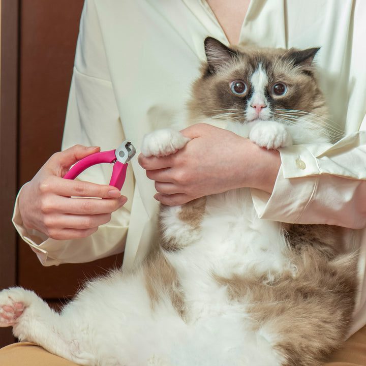 SUWADA猫用爪切りニッパー【国産】ちょい切り対応モデル