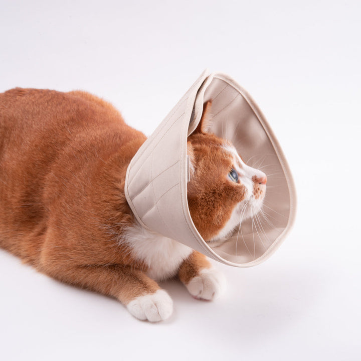 【訳あり20%off】軽くて柔らかい猫用エリザベスカラー　スタンダードタイプ