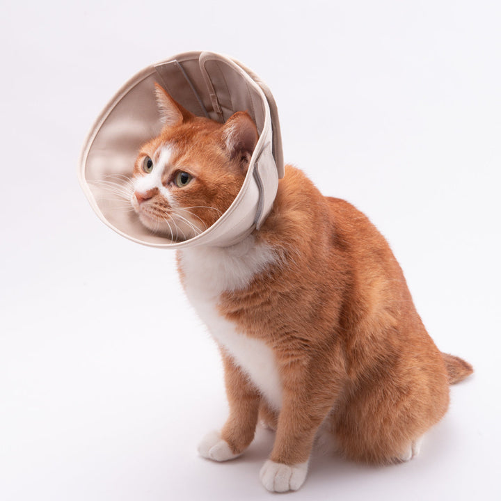 【訳あり20%off】軽くて柔らかい猫用エリザベスカラー　スタンダードタイプ