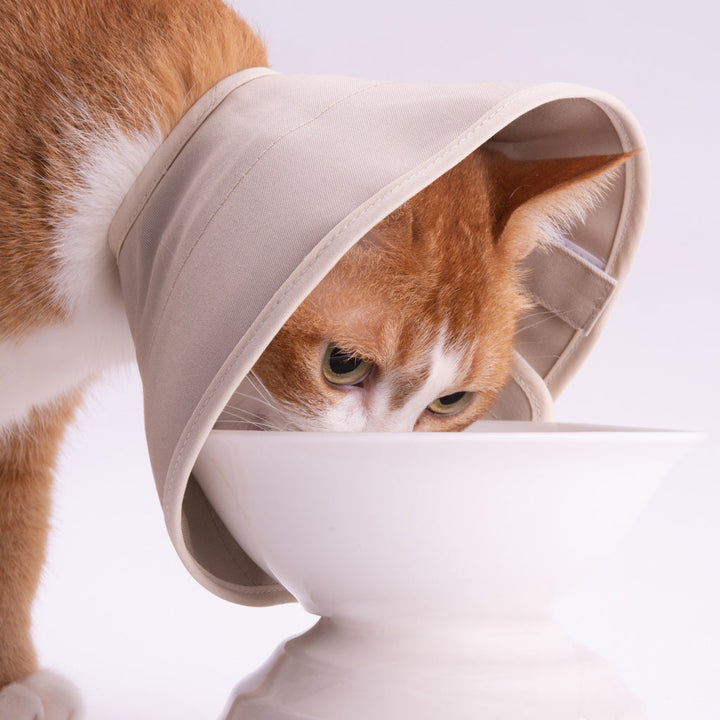 【訳あり20%off】軽くて柔らかい猫用エリザベスカラー　スタンダードタイプ