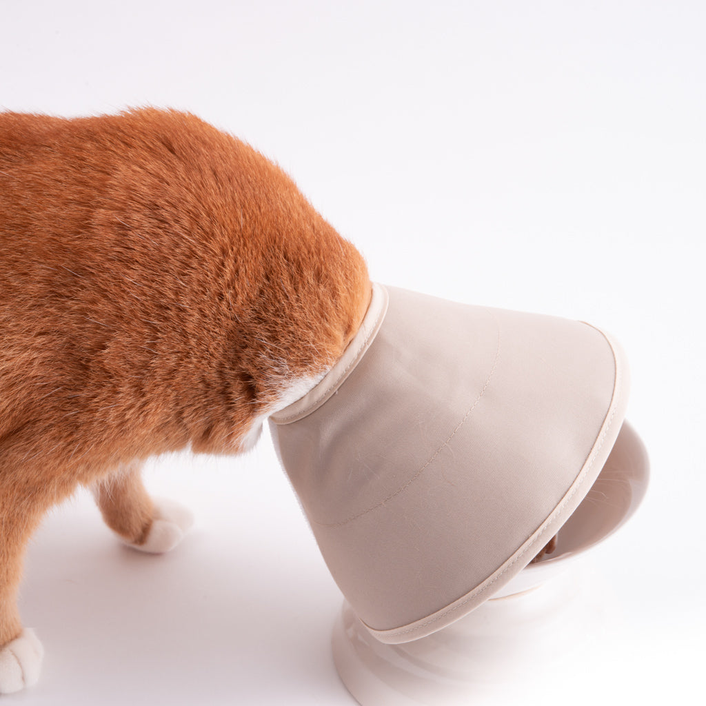 【訳あり20%off】軽くて柔らかい猫用エリザベスカラー　スタンダードタイプ