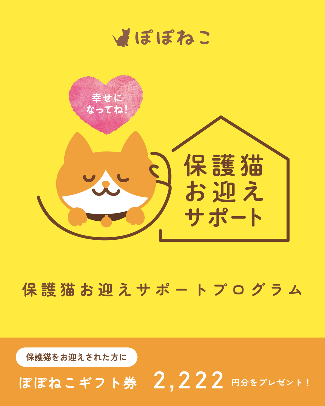 保護猫お迎えサポートプログラム