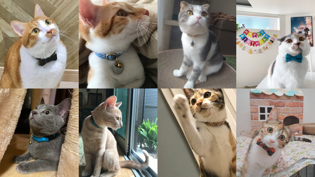 お客様の声ページ4