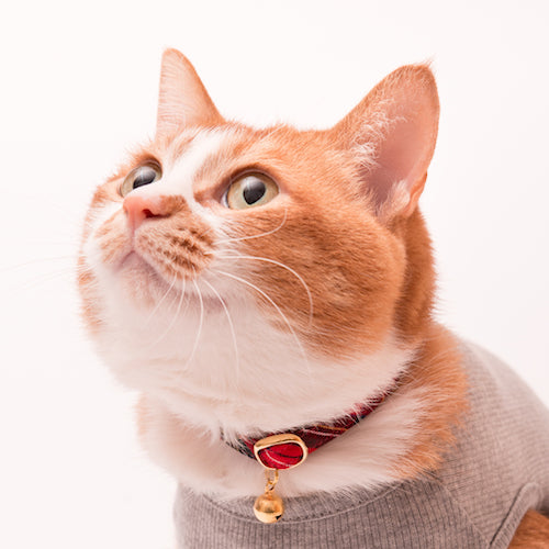 猫首輪　タータンチェック　レッド - ぽぽねこ公式オンラインショップ