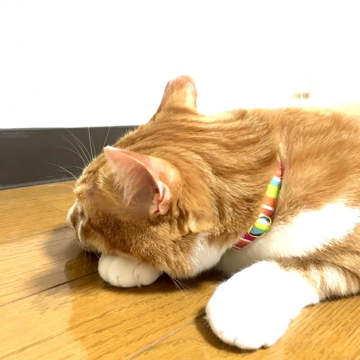 猫首輪　モダンミラノストライプ　キャンディピンク（ピンク×グリーン） - ぽぽねこ公式オンラインショップ