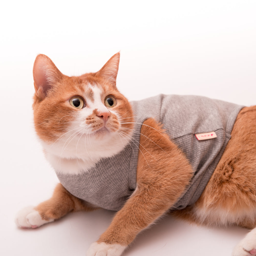 猫に優しい猫服　タンクトップ　オーガニックコットン100％　テレコ無地 - ぽぽねこ公式オンラインショップ