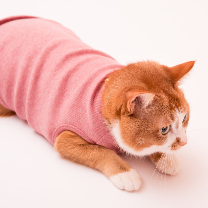 猫に優しい猫服　タンクトップ　オーガニックコットン100％　テレコ無地 - ぽぽねこ公式オンラインショップ