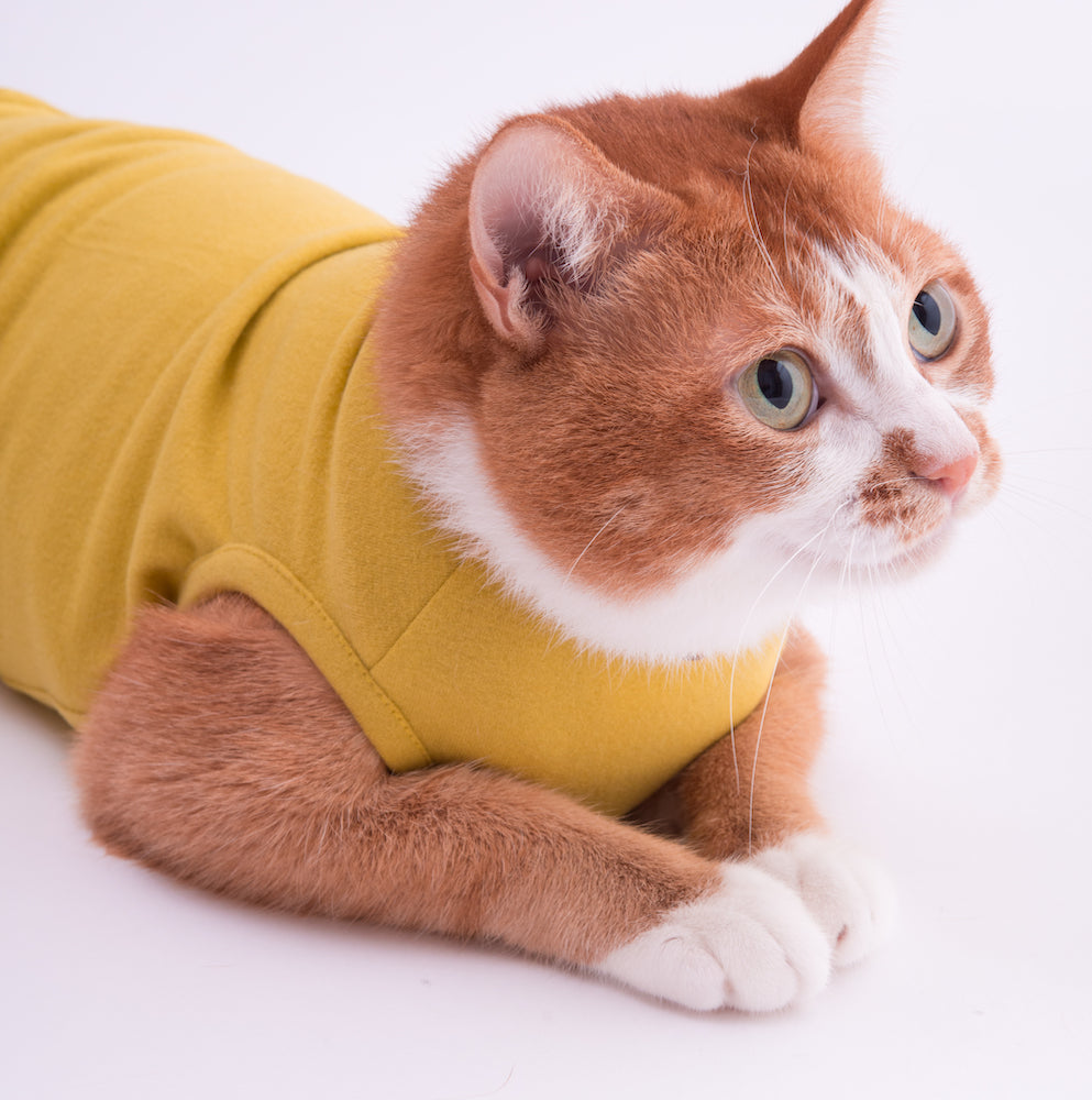 猫に優しい猫服　防寒キャットウォームタンク　無地 - ぽぽねこ公式オンラインショップ