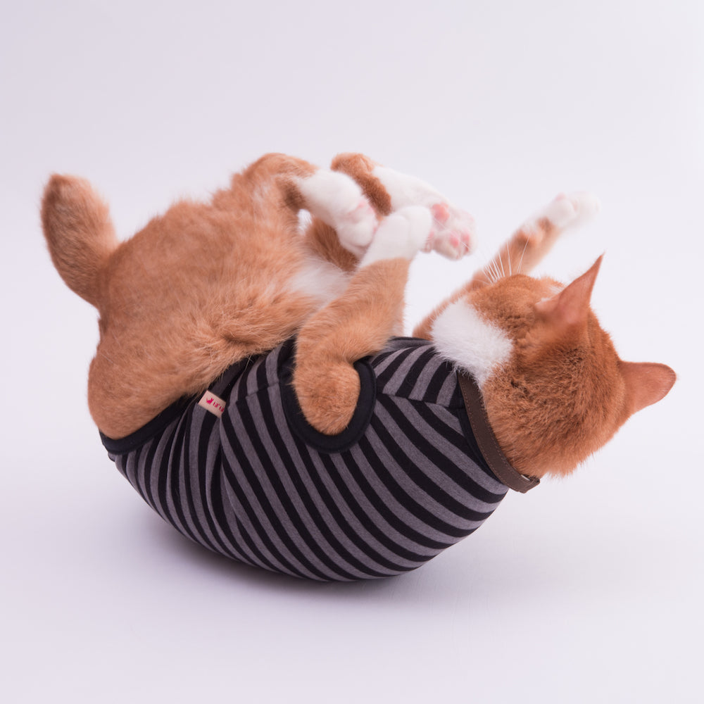 猫に優しい猫服　防寒キャットウォームタンク　モノトーンボーダー - ぽぽねこ公式オンラインショップ