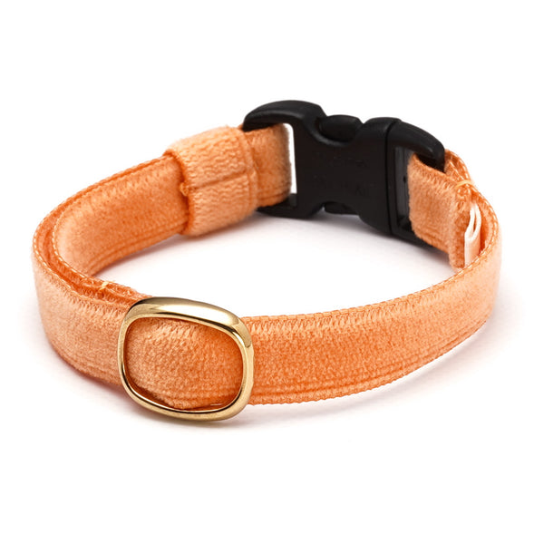 Cat Collar Velvet Orange