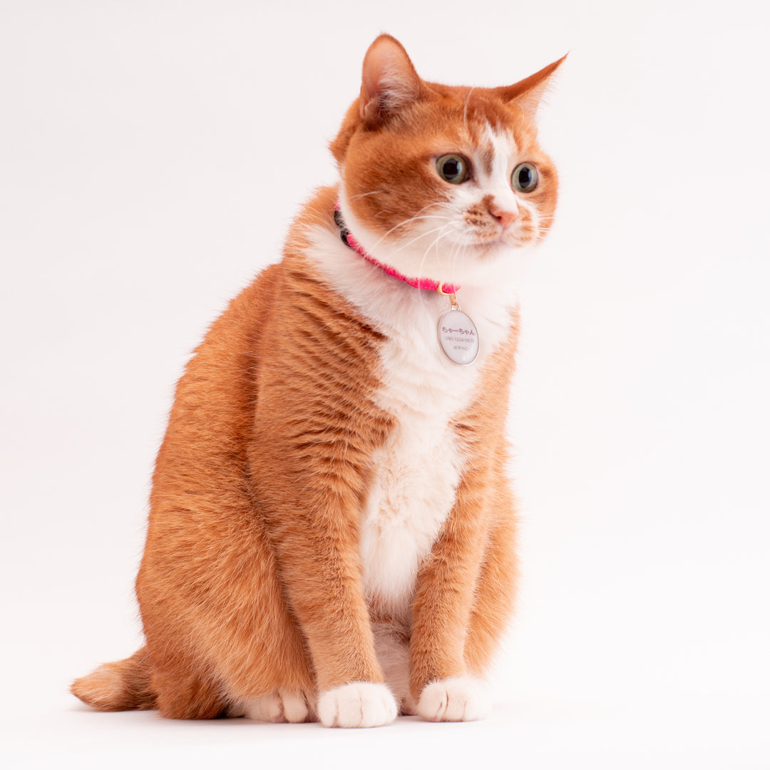 猫首輪　MUJIコットンツイル　ピンク - ぽぽねこ公式オンラインショップ
