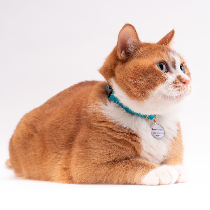 猫首輪　MUJIコットンツイル　ターコイズ