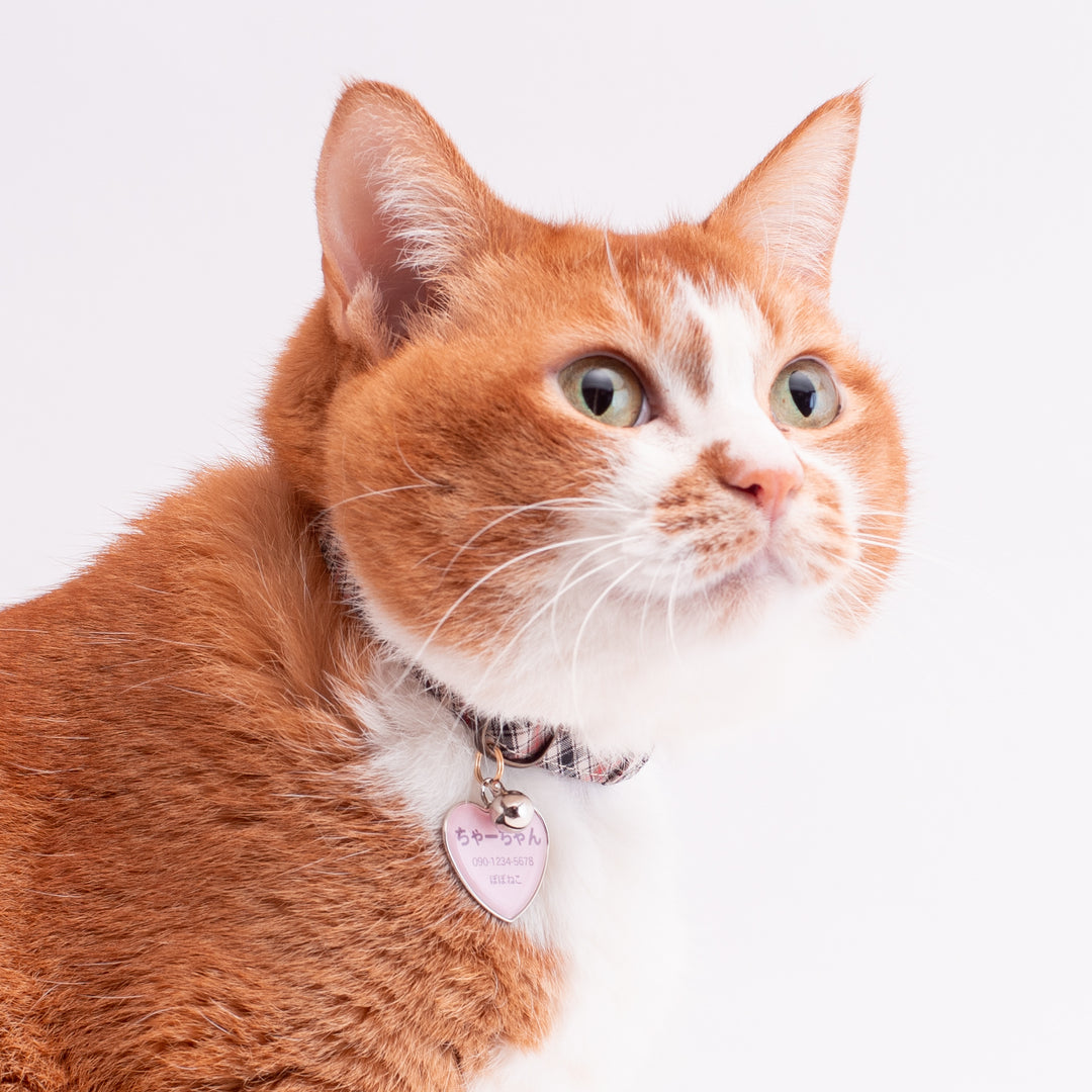 猫首輪　播州織タータンチェック　ブラウン