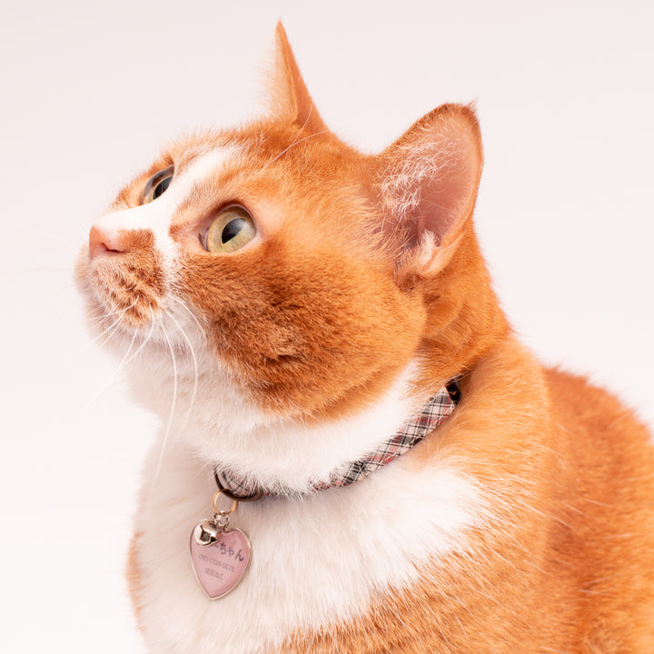 ［片面］猫用迷子札メタルドーム　ハート形　スモーキーカラー【限定色】