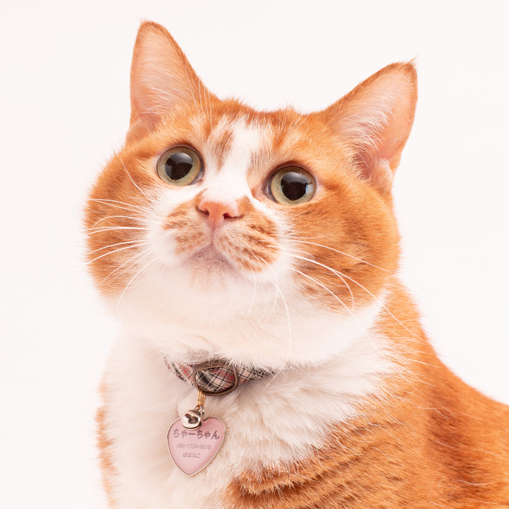 猫首輪　播州織タータンチェック　ブラウン