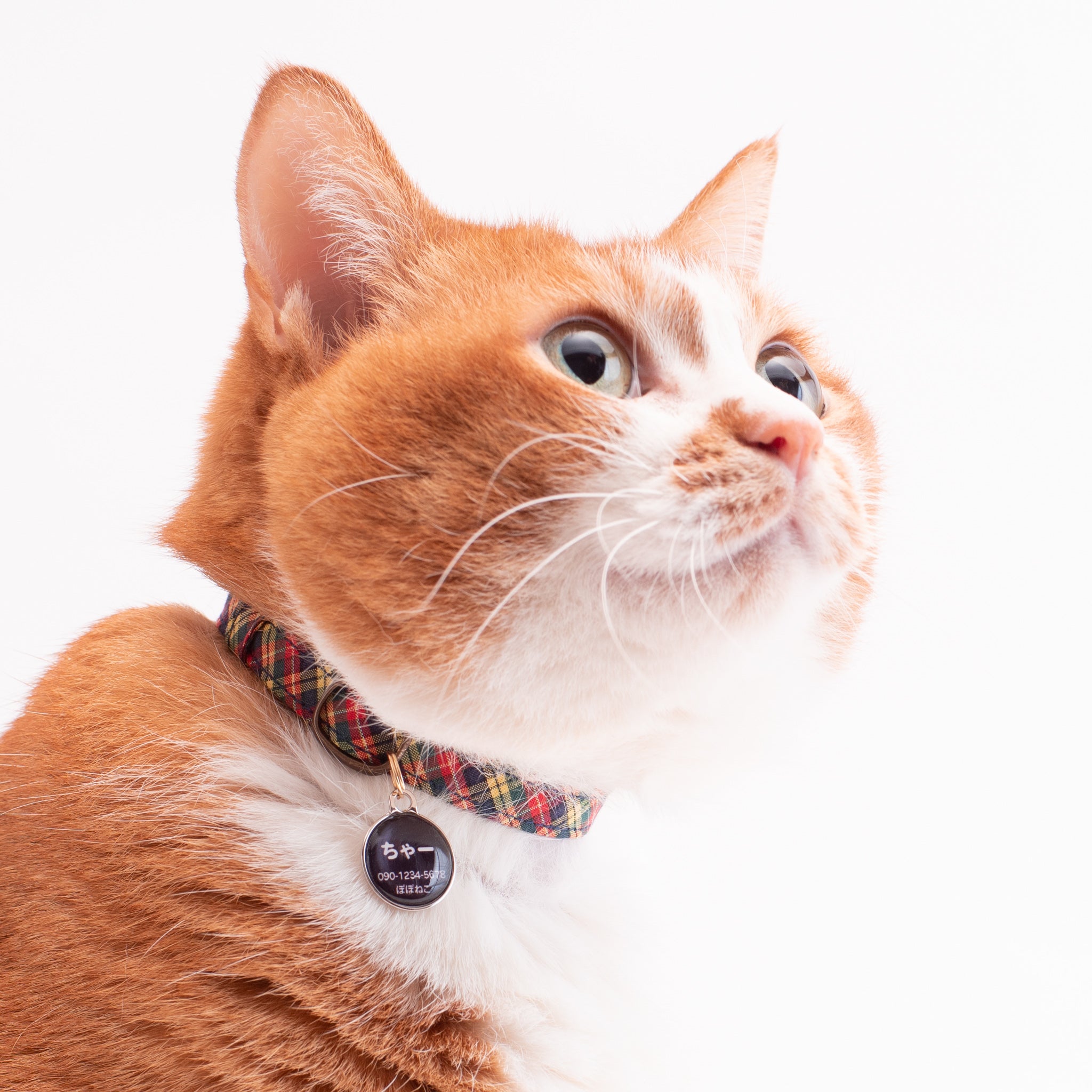 猫首輪 播州織タータンチェック イエロー｜ぽぽねこ公式オンラインショップ