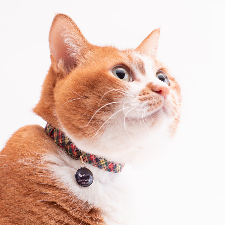 猫首輪　播州織タータンチェック　イエロー